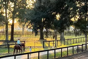 13646 N US Hwy 27, Ocala, FL 34482 - Photo 75