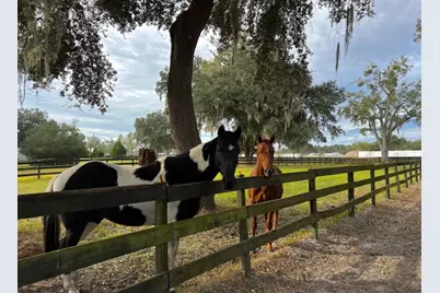 13646 N US Highway 27, Ocala, FL 34482 - Photo 73