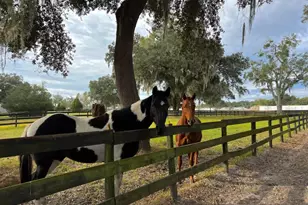 13646 N US Hwy 27, Ocala, FL 34482 - Photo 73