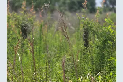 1146 N Jorie Terrace, Crystal River, FL 34429 - Photo 17