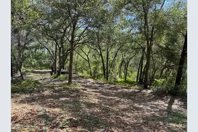 16137 SE 34th Place, Ocklawaha, FL 32179 - Photo 3