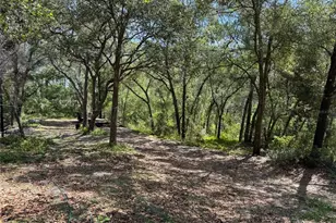 16137 SE 34th Pl, Ocklawaha, FL 32179 - Photo 3