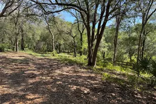 16137 SE 34th Pl, Ocklawaha, FL 32179 - Photo 5