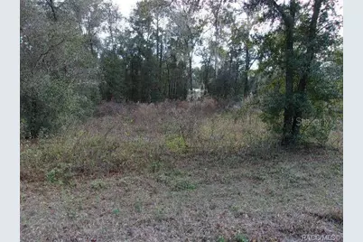 6700 E Haynes Lane, Inverness, FL 34452 - Photo 1