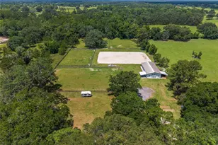 9450 NW 150th Ave, Morriston, FL 32668 - Photo 61