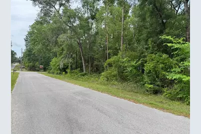 Lot 14 SW Chanel Heights Court, Dunnellon, FL 34431 - Photo 3