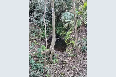 4305 SW 20th Avenue, Ocala, FL 34471 - Photo 59