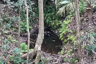 4305 SW 20th Ave, Ocala, FL 34471 - Photo 59