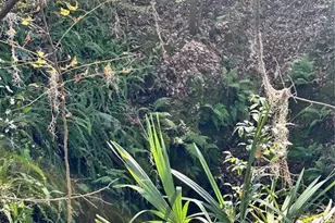 4305 SW 20th Ave, Ocala, FL 34471 - Photo 57