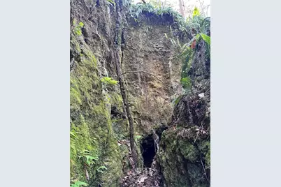 4305 SW 20th Avenue, Ocala, FL 34471 - Photo 55