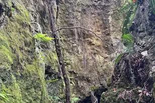 4305 SW 20th Ave, Ocala, FL 34471 - Photo 55