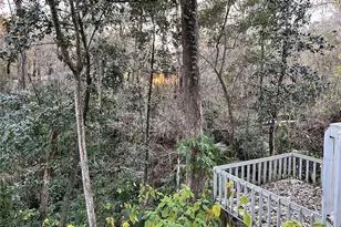 4305 SW 20th Ave, Ocala, FL 34471 - Photo 21