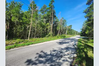 00 Fisher Trail, Ocklawaha, FL 32179 - Photo 1