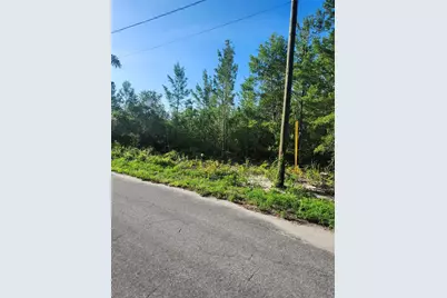 00 Fisher Trail, Ocklawaha, FL 32179 - Photo 5