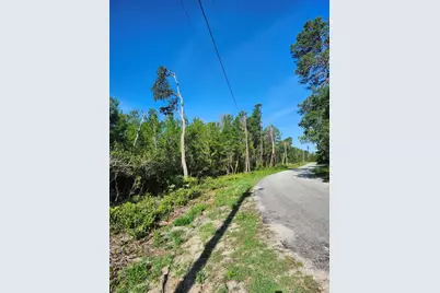 00 Fisher Trail, Ocklawaha, FL 32179 - Photo 3