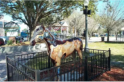 9960 SW 103rd Lane, Ocala, FL 34481 - Photo 35