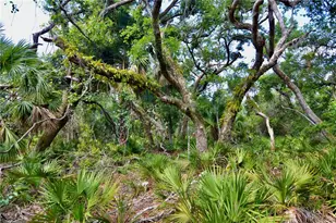 00 Leroy Lyons Rd, Perry, FL 32348 - Photo 1