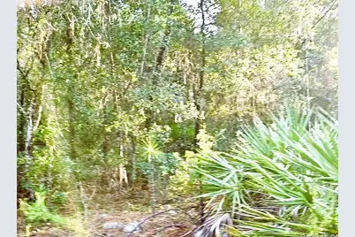 4984 N Sandpebble Point, Crystal River, FL 34428 - Photo 3