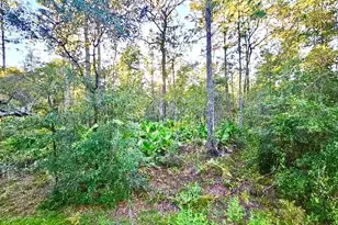 4984 N Sandpebble Point, Crystal River, FL 34428 - Photo 1