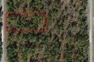 0 NW Smallwood Rd, Dunnellon, FL 34431 - Photo 1