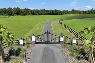 1631 W Hwy 329, Citra, FL 32113 - Photo 79