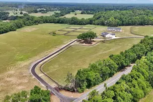 1631 W Hwy 329, Citra, FL 32113 - Photo 3