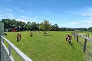 16520 NW 170th St, Williston, FL 32696 - Photo 89