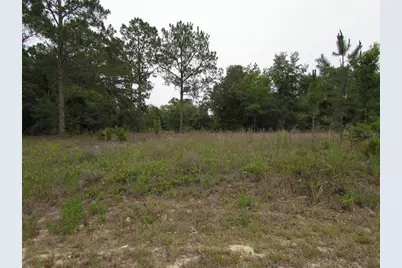 Lot 40 SW South Wind Court, Dunnellon, FL 34431 - Photo 1