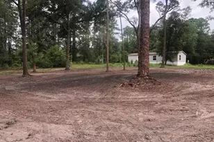 10555 NE 152 Pl, Fort Mc Coy, FL 32134 - Photo 41