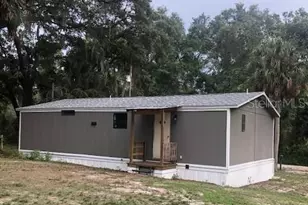 10555 NE 152 Pl, Fort Mc Coy, FL 32134 - Photo 11