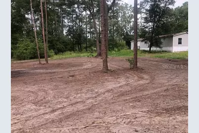 10555 NE 152nd Place, Fort Mc Coy, FL 32134 - Photo 45