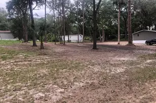 10555 NE 152 Pl, Fort Mc Coy, FL 32134 - Photo 43