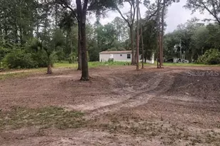 10555 NE 152 Pl, Fort Mc Coy, FL 32134 - Photo 47