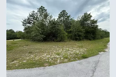 Tba SW 138th Lane, Ocala, FL 34473 - Photo 5