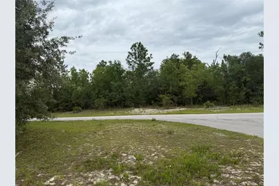 Tba SW 138th Lane, Ocala, FL 34473 - Photo 7