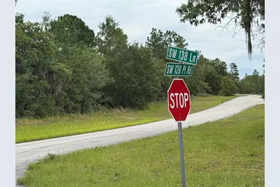 Tba SW 138th Lane, Ocala, FL 34473 - Photo 3