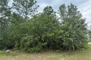 Tba SW 138th Ln, Ocala, FL 34473 - Photo 1