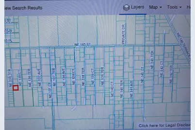 0 NE 135th Terrace, Fort Mc Coy, FL 32134 - Photo 3