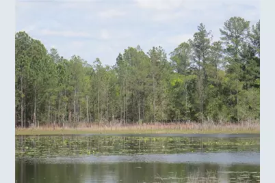 0 SE 10th Street, Silver Springs, FL 34488 - Photo 11