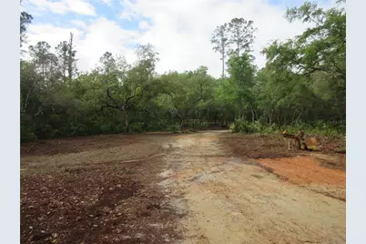 0 SE 10th Street, Silver Springs, FL 34488 - Photo 7