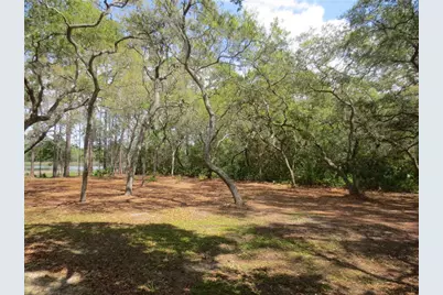 0 SE 10th Street, Silver Springs, FL 34488 - Photo 1