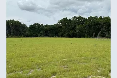 Ne 141, Citra, FL 32113 - Photo 1