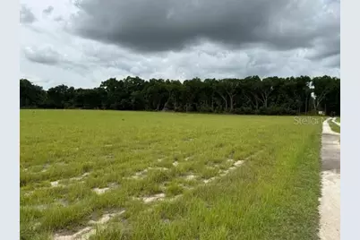 Ne 141, Citra, FL 32113 - Photo 3