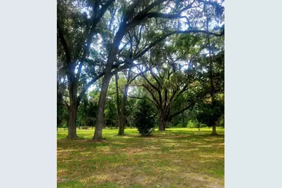 15016 NW 32nd Avenue, Newberry, FL 32669 - Photo 15