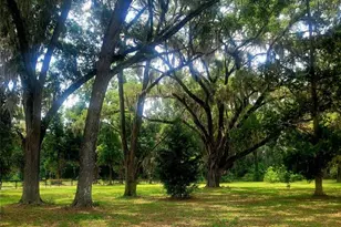 15016 NW 32nd Ave, Newberry, FL 32669 - Photo 15