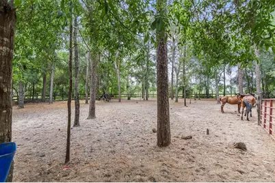 16082 SW 24th Place, Ocala, FL 34481 - Photo 21