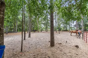 16082 SW 24th Pl, Ocala, FL 34481 - Photo 21