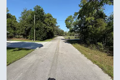 Tbd SE 154th Street, Summerfield, FL 34491 - Photo 7