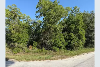 Tbd SE 154th Street, Summerfield, FL 34491 - Photo 1