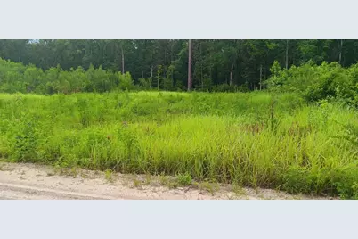 13230 SW 18th Street Road, Ocala, FL 34481 - Photo 5